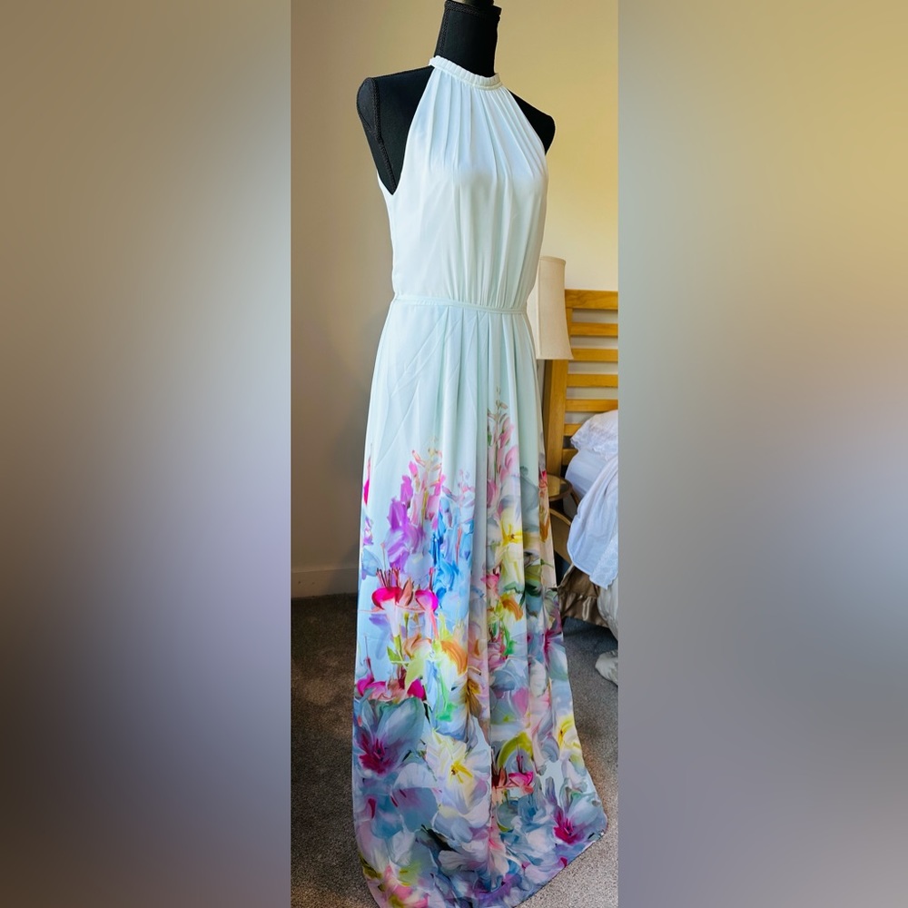 Ted Baker Maxi Dress - Picture 4 of 9